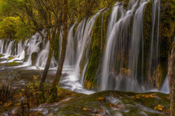 Картинка природа водопады деревья поток скала