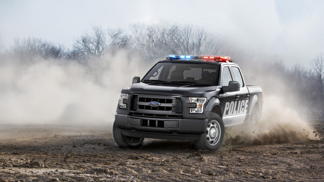 Обои картинки фото ford f-150 police 2018, автомобили, ford, 2018, f-150, police