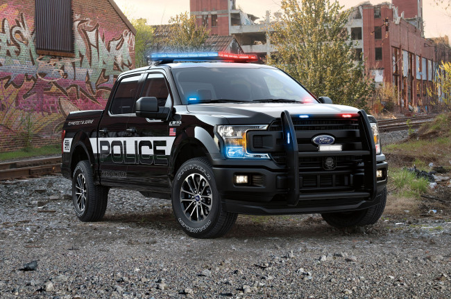 Обои картинки фото ford f-150 police 2018, автомобили, ford, police, 2018, f-150