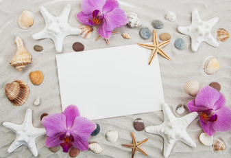 Картинка разное ракушки +кораллы +декоративные+и+spa-камни камешки орхидеи