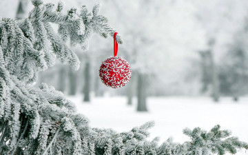 обоя праздничные, шары, снег, шарик, елка