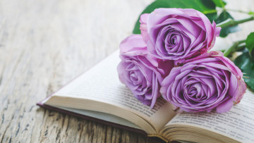 Картинка цветы розы книга трио