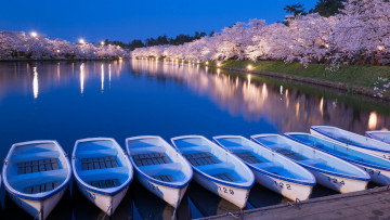 Картинка корабли лодки +шлюпки парк весна цветущие деревья озеро