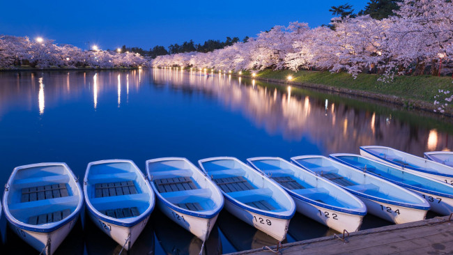 Обои картинки фото корабли, лодки,  шлюпки, парк, весна, цветущие, деревья, озеро