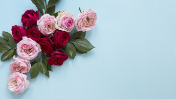 Картинка цветы розы разноцветные бутоны