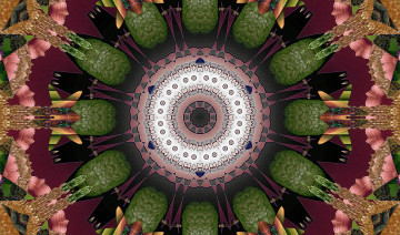 Картинка 3д графика fractal фракталы линии узор фон цвета
