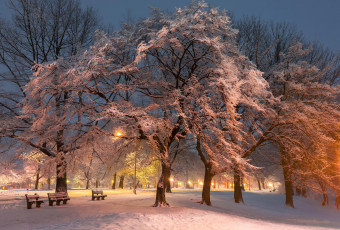 Картинка природа парк зима деревья лавочки дорога