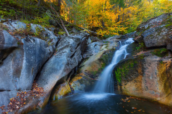Картинка природа водопады скалы лес водопад деревья