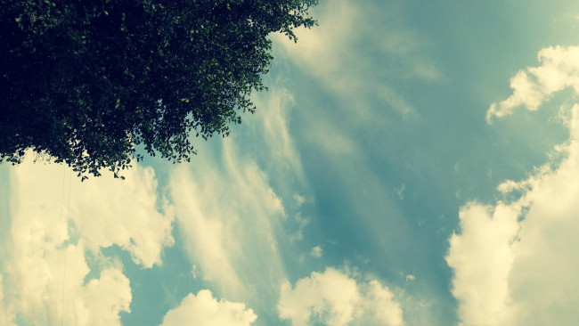 Обои картинки фото природа, облака, дерево, небо