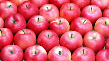 Картинка еда Яблоки розовые яблоки