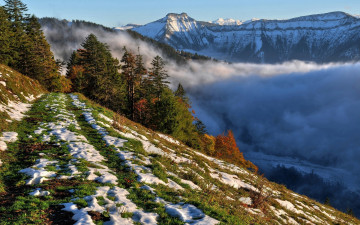 Картинка природа горы деревья дорога трава туман снег