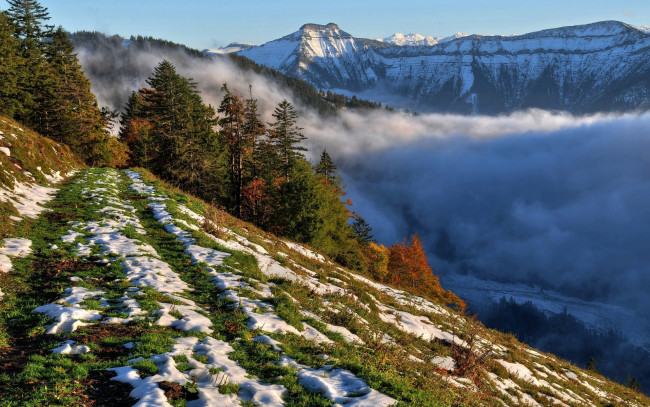 Обои картинки фото природа, горы, деревья, дорога, трава, туман, снег
