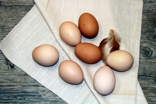 Обои картинки фото еда, Яйца, яйца, перья