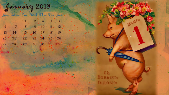 Обои картинки фото календари, праздники,  салюты, цветы, поросенок, зонт, свинья