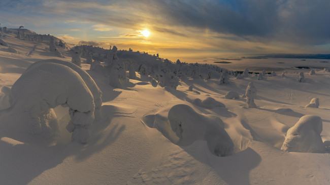 Обои картинки фото природа, зима, лес, восход, солнца, склон, снежные, шапки, деревья