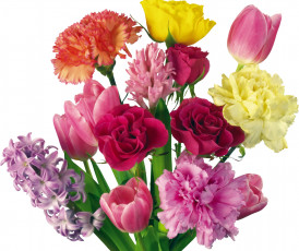 Картинка цветы букеты композиции гиацинт гвоздики тюльпаны розы