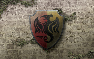 Картинка разное надписи логотипы знаки герб дракон стена