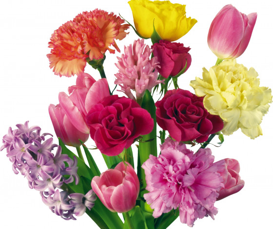 Обои картинки фото цветы, букеты, композиции, гиацинт, гвоздики, тюльпаны, розы
