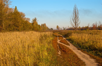 Картинка природа дороги деревья трава дорога небо осень