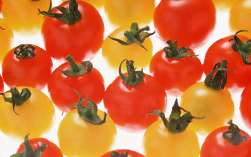 Картинка еда помидоры красные желтые томаты
