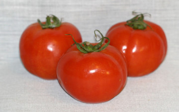 Картинка еда помидоры помидорки томаты