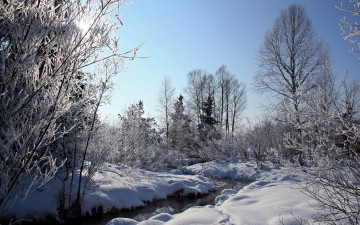 Картинка природа зима ручей лес