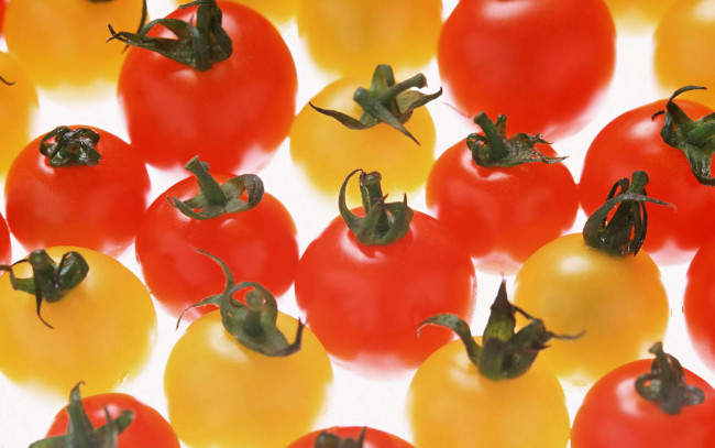 Обои картинки фото еда, помидоры, красные, желтые, томаты