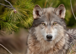 Картинка рисованные животные +волки сосна ветка волк