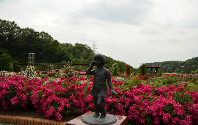 Обои картинки фото kani,  japan, города, - памятники,  скульптуры,  арт-объекты, цветы, дудочка, мальчик, парк