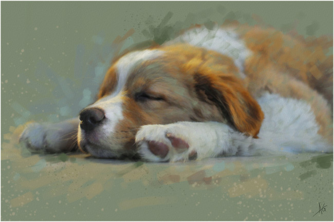 Обои картинки фото рисованные, животные,  собаки, собака, сон