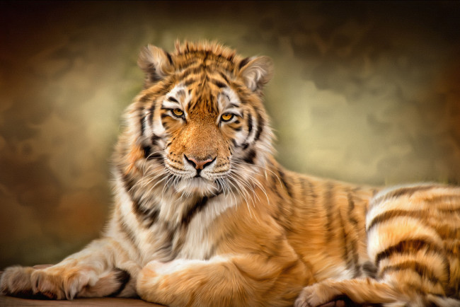 Обои картинки фото рисованные, животные,  тигры, текстура, тигр
