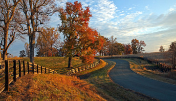 Картинка природа дороги листопад осень шоссе