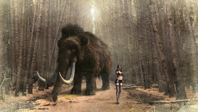 Обои картинки фото 3д графика, люди и животные , people and animals, девушка, лес, мамонт, животное, бивни, слон, хобот, шерсть