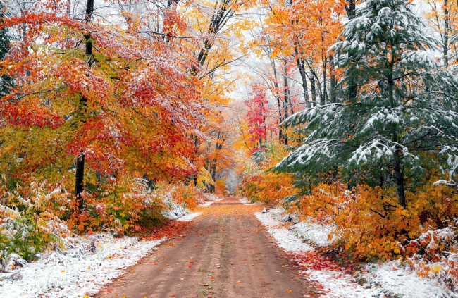 Обои картинки фото природа, дороги, дорога, лес, проселочная, осень, листопад, снег