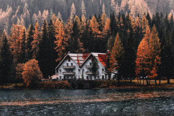 Картинка города -+здания +дома дом сосны озеро осень