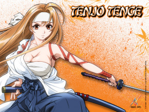 Картинка аниме tenjou tenge