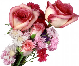 Картинка цветы букеты композиции розы васильки