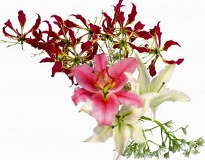 Картинка цветы букеты композиции красный белый розовый