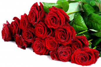 Картинка цветы розы любовь признание