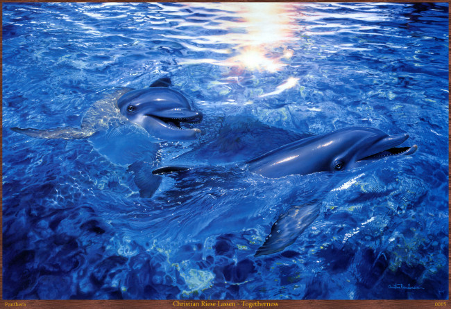 Обои картинки фото christian, riese, lassen, togetherness, рисованные, дельфины, море, вода, арт