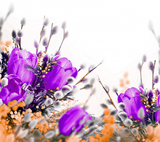 Обои картинки фото цветы, разные вместе, верба, тюльпаны