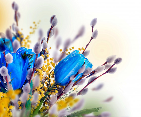 Обои картинки фото цветы, разные вместе, мимоза, тюльпаны, верба
