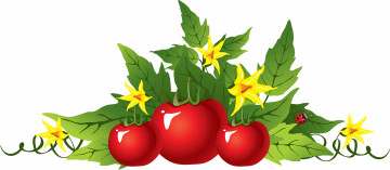 Картинка векторная+графика еда+ food листья помидор цветы фон божья коровка