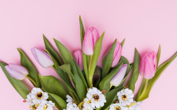 Картинка цветы разные+вместе flowers spring tender tulips тюльпаны pink fresh розовые
