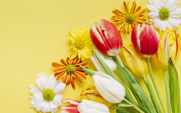 Картинка цветы разные+вместе тюльпаны