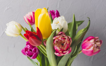Картинка цветы тюльпаны яркие bright tulips colorful fresh весна flowers букет spring