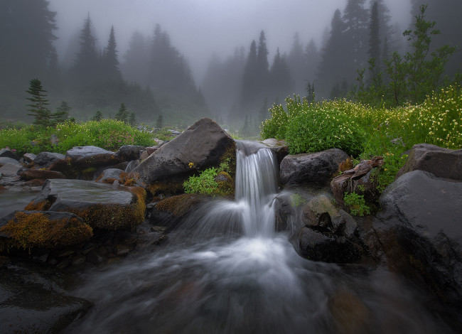 Обои картинки фото природа, реки, озера, поток, лето, скалы, река, камни, цветы, туман, дымка, лес