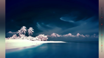 Картинка календари компьютерный+дизайн водоем пляж пальма природа