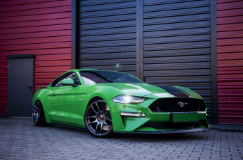 Картинка ford+mustang+green автомобили ford mustang green stance muscle car