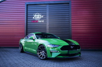 обоя ford mustang green, автомобили, ford, mustang, green, stance, muscle, car